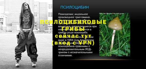 а пвп мука Алзамай
